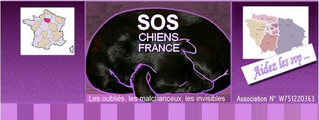 SOS chiens France
